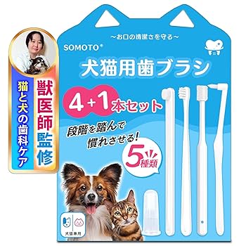猫を吸いたい【裁断済み】歯のQ&A大全　（表紙カバー無し） 楽天市場】歯磨き チュール 猫 歯石取り 口腔ケア オーラルケア